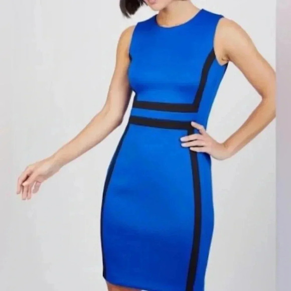 Calvin Klein Color Block Sheath Dress Size 8P - Picture 3 of 10